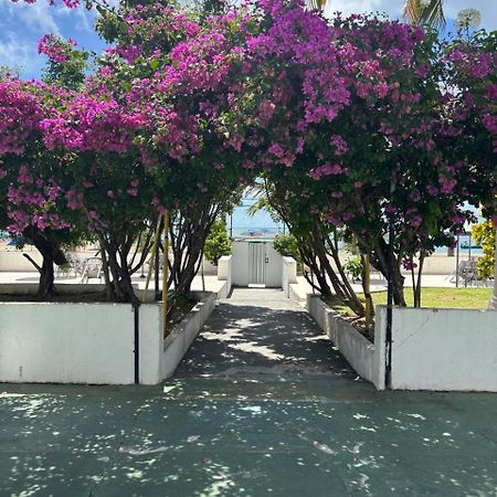 Apto 3 Quartos Pe Na Areia Prox De Recife Exteriér fotografie