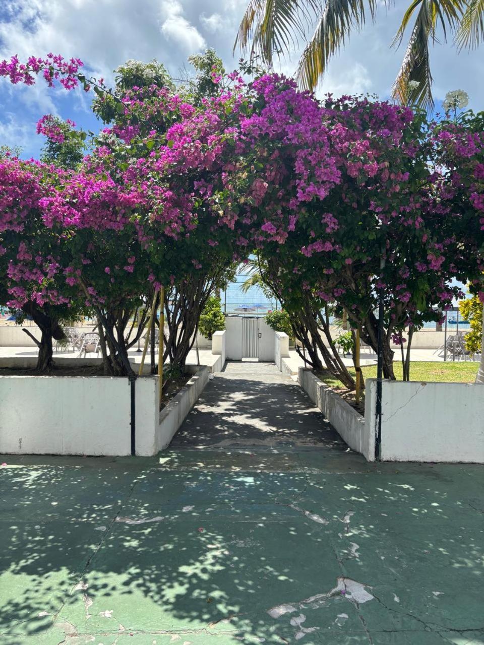 Apto 3 Quartos Pe Na Areia Prox De Recife Exteriér fotografie